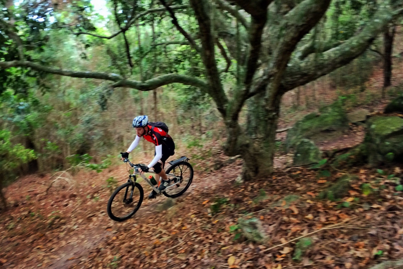 Fahrradtouren durch die Sächsische Schweiz und durch das Erzgebirge sind anspruchsvoll, zählen aber zu den schönsten in ganz Deutschland. Foto fabriciosousafoto via Twenty20